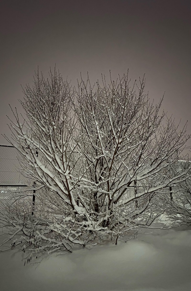 ポッドキャスト109回目の配信「無敵な生き方」～vol.180